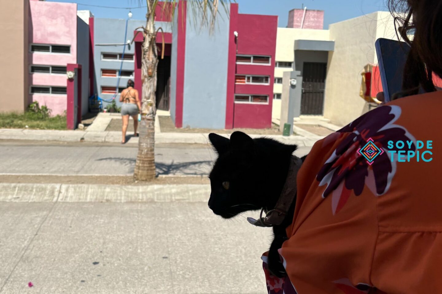 🐾 Rescatan mascotas durante incendio en Fracc. Montecarlo en Tepic