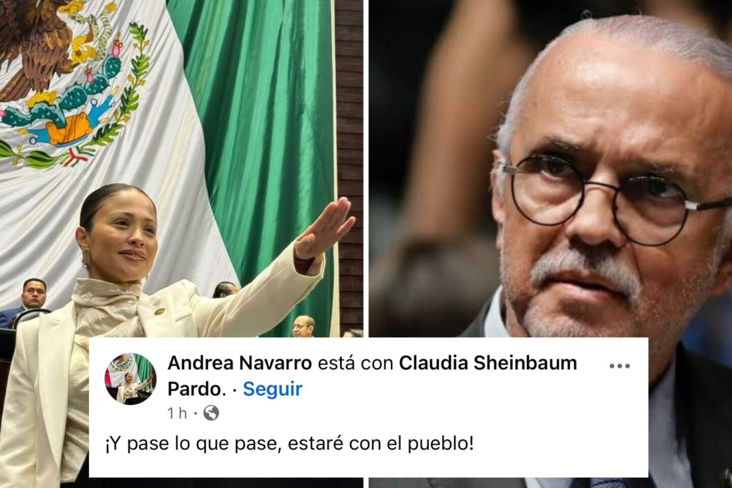 La construcción del nuevo estadio de fútbol, es una ocurrencia. Señaló Andrea Navarro, diputada federal