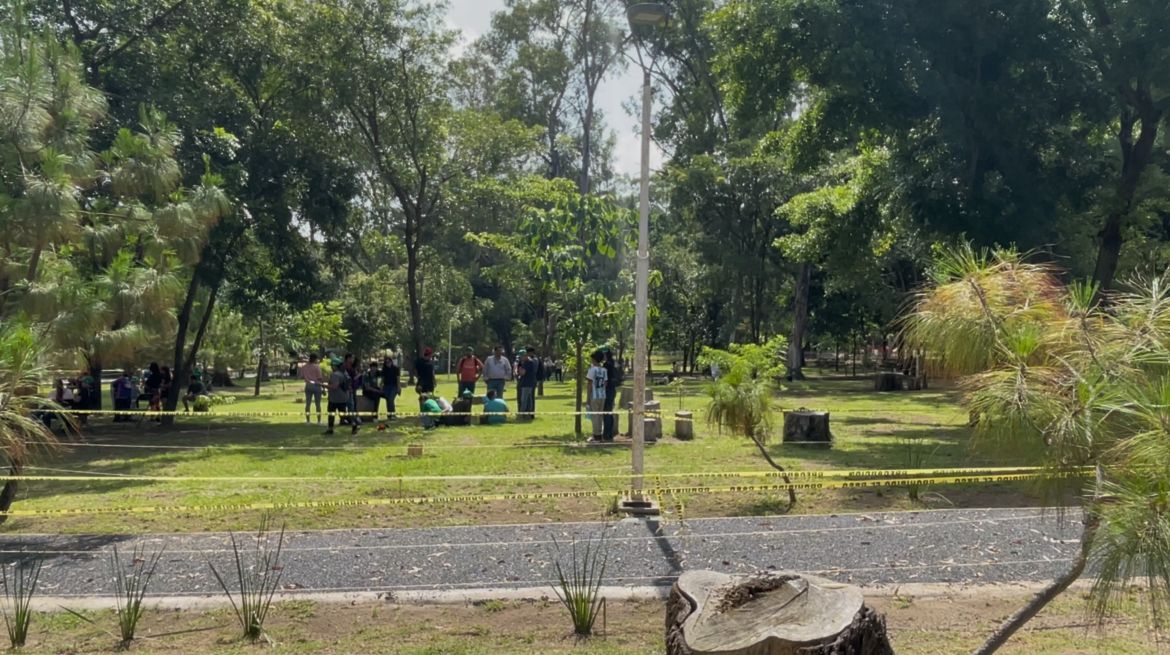Nuevo Bosque en Tepic